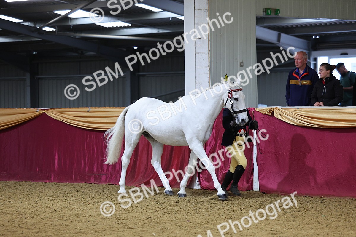 SBM_19397 - Class 901 - Supreme Final - IH Diamond