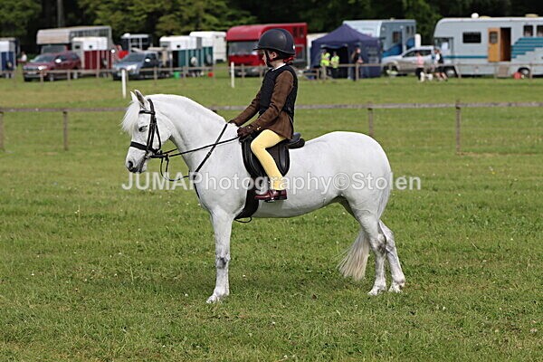 IMG_2413 - Working Hunter