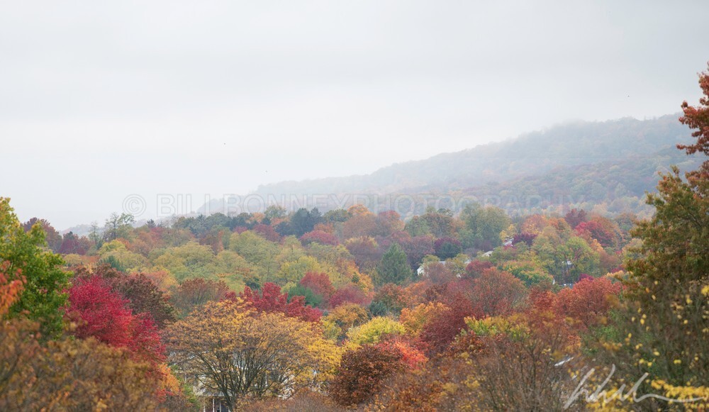 DSC_1846 - Autumn