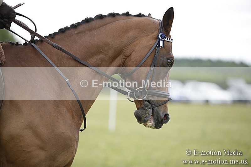 BVR160717-473 - Ring 1 BVRC Show 16/07/17