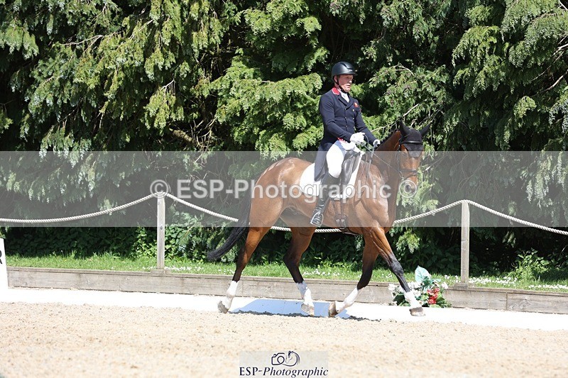 230526-144933-06554 - 375-FINLEY_DU_LOIR-Oliver_Townend-WEDTrotUp+DR