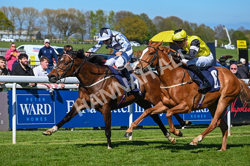 230426-Race 4-A War Eagle-4586 - Race 4