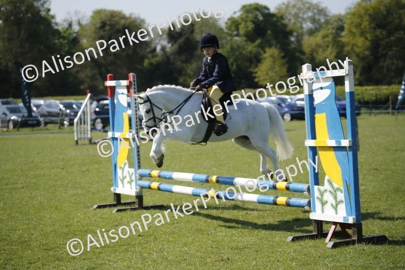 20250427-1975 - Class 13 - Novice Jumping 60cm