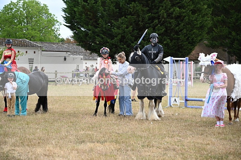 WJ6_9251 - Class 11 Fancy Dress