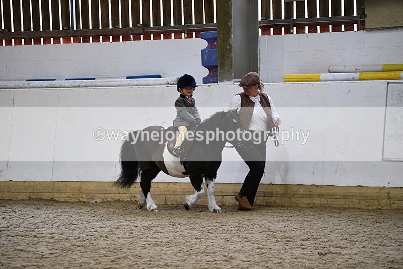WJ5_6566 - Class 10 Childs Pony