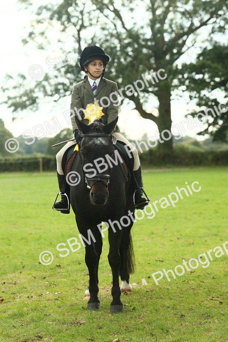SBM_74151 - S 61 - Show Pony & Show Hunter Pony Ridden