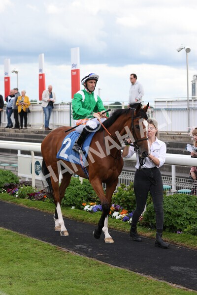 yr22052022r7-5 - Race 7: 6:40pm Sky Bet Sunday Series Fillies' and Mares Stakes