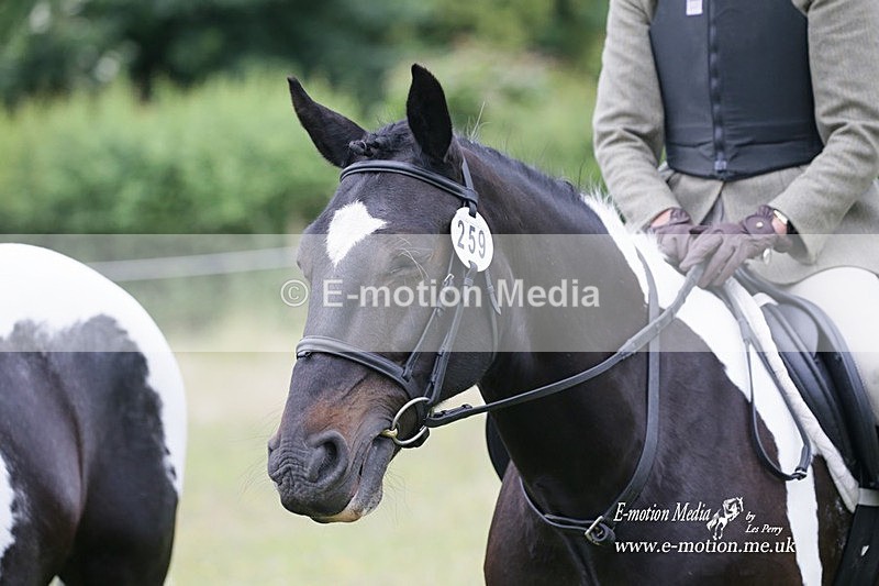 BVRC 030721 817 - Bourne Valley Riding Club Dressage 03/07/21