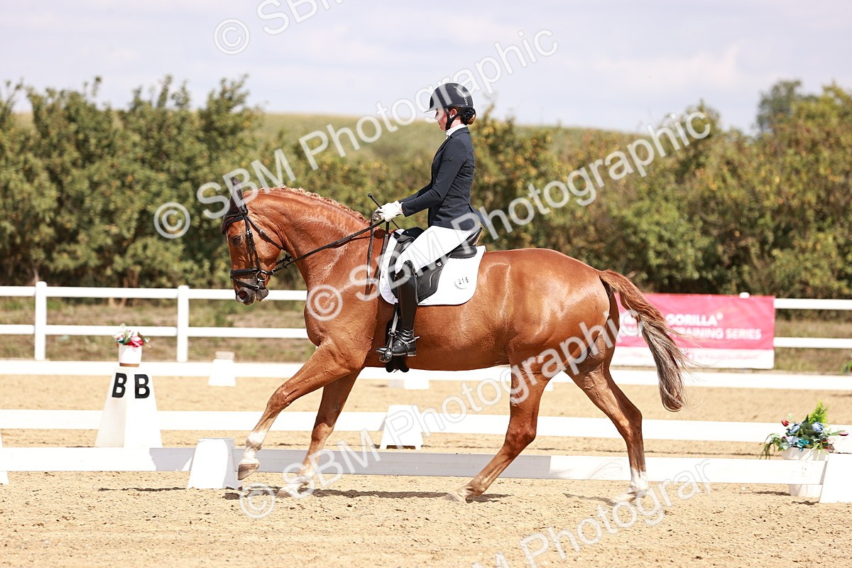 SBM_018480 - Class 17 - Novice 6