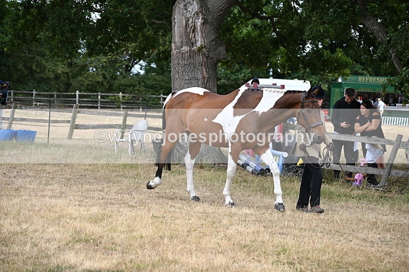 WJ6_8138 - Class 10 Coloured in Hand