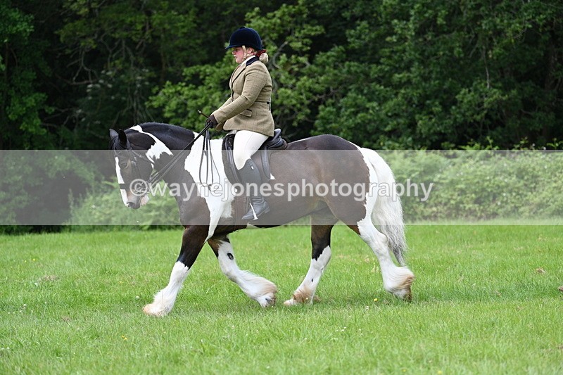 WJ7_2339 - Class 12A Coloured Class