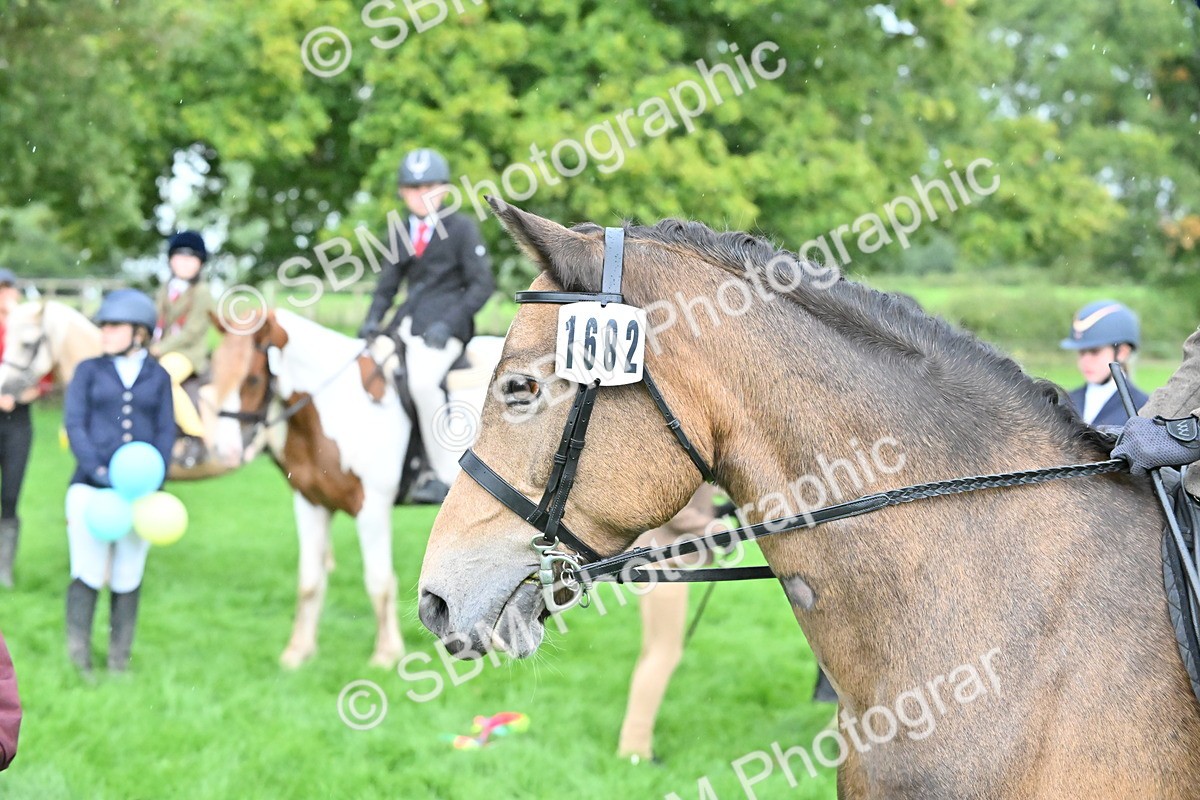 SBM_42937 - S12 - Family Horse & Pony