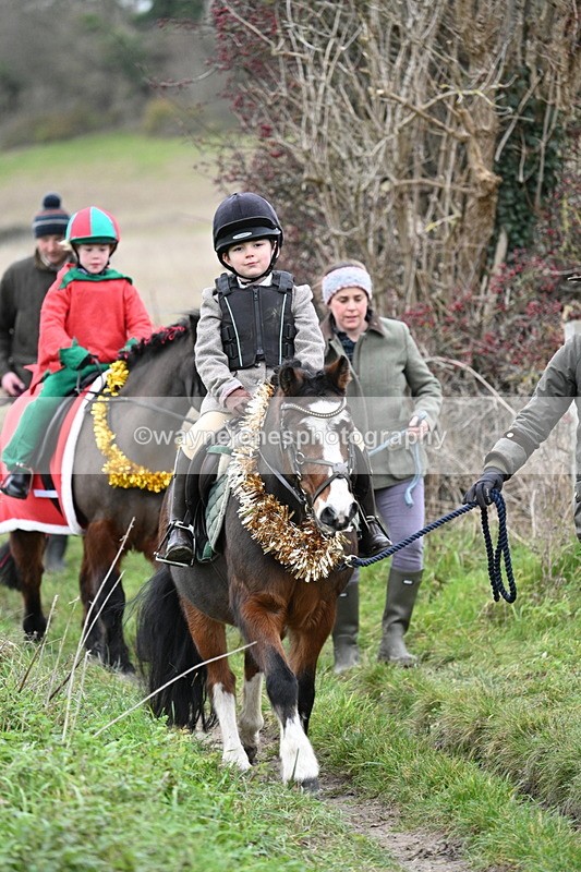 WJ7_0932 - First Seen