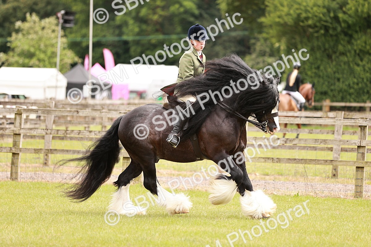 SBM_06225 - Class 39-41 TGCA In Hand and Ridden
