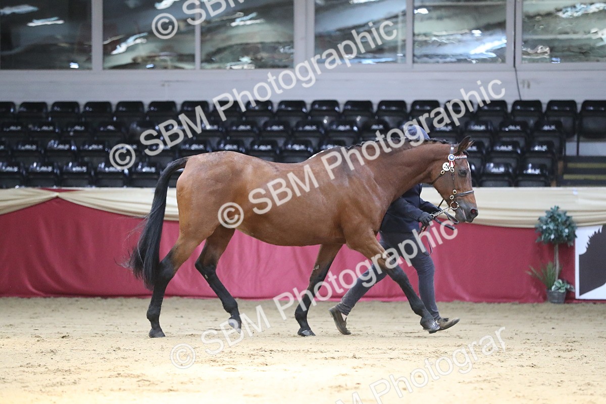 SBM_04348 - Class 7R Regional - IH Diamond