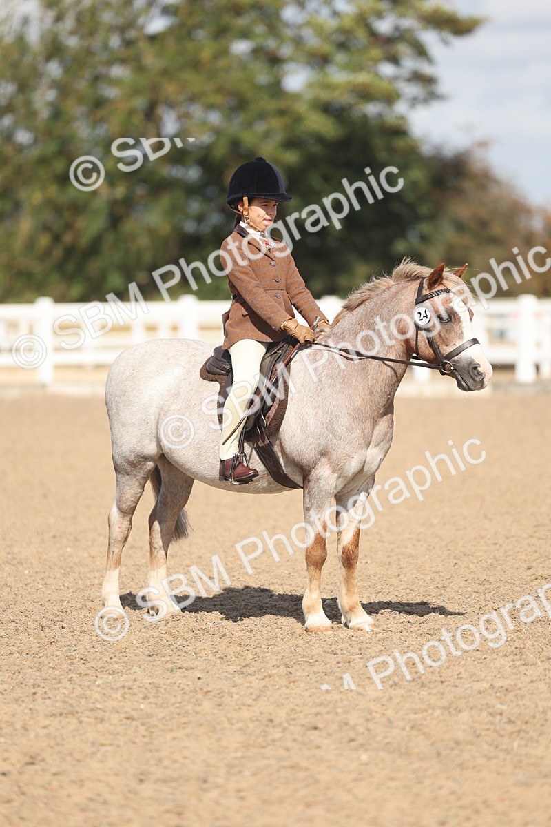 SBM_23111 - Class 806 - Young Rider 10ry and Under
