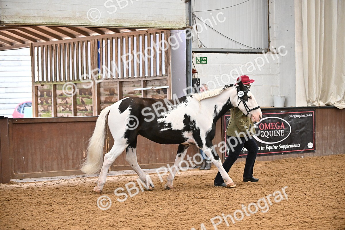 SBM_000019 - Class 1 - In Hand Cob