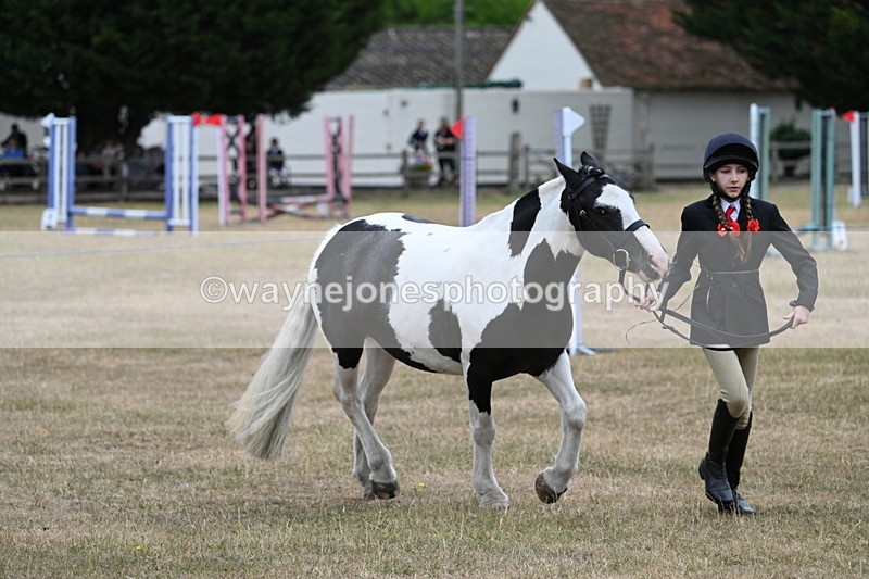 WJ7_8285 - Class 4 Prettiest Mare up to 14.2hh