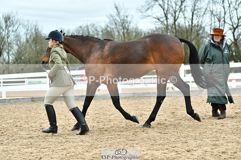 230416A-135654-04976 - Cls 60 Ridden Show Horse