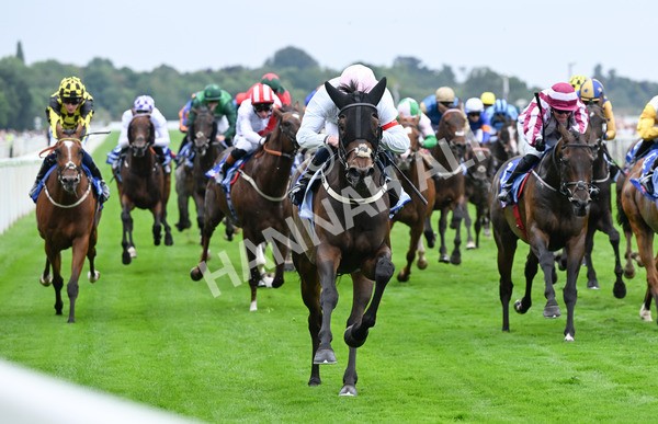 230825-127 Ethical Diamond - Race 4 3.35pm Sky Bet Ebor Handicap