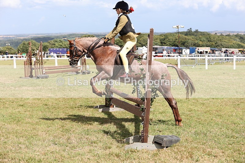 JPP_2142 - Class 19: Working Hunter 60cm