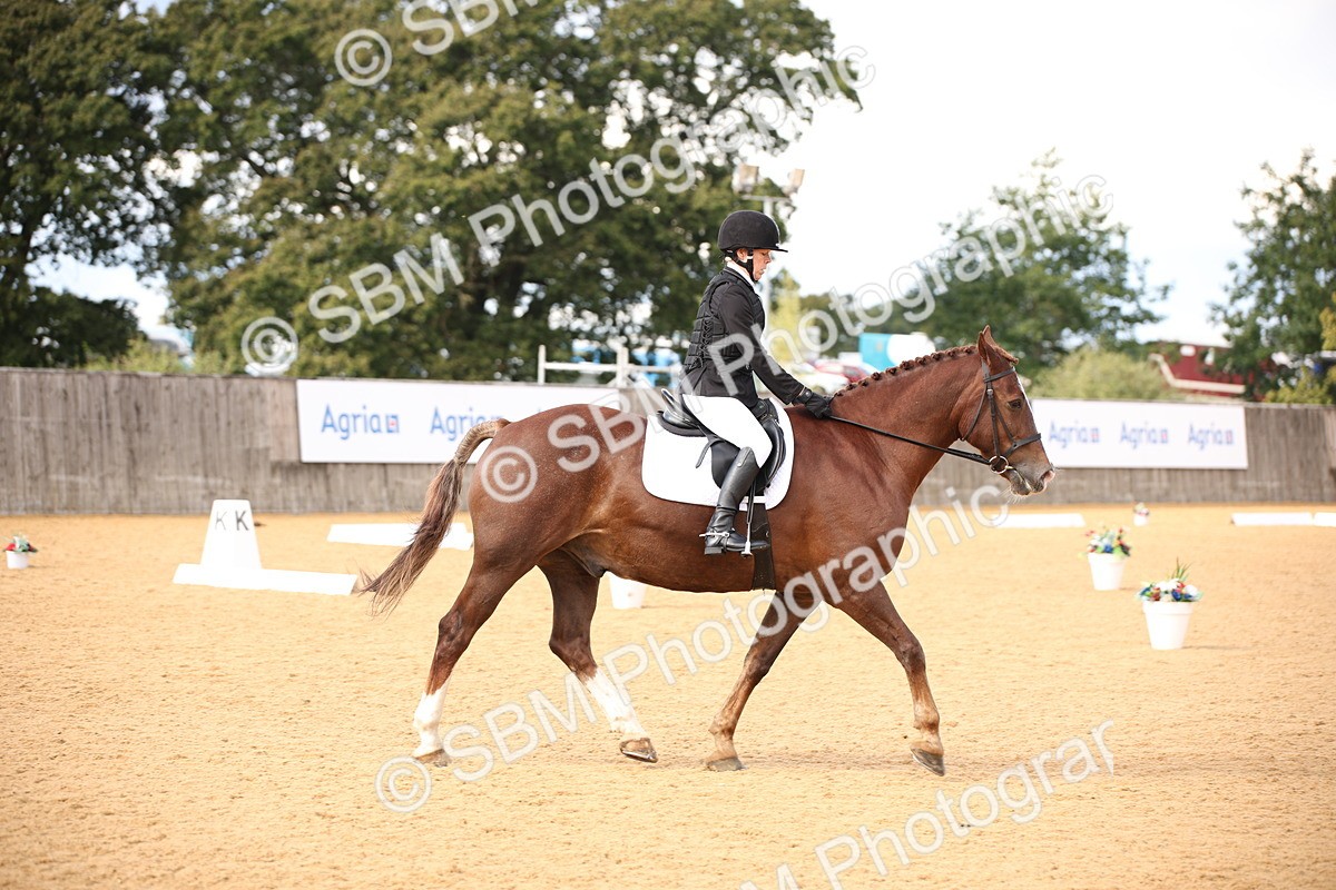 SBM_08999 - D8 Small Tour Championship Prelim 7