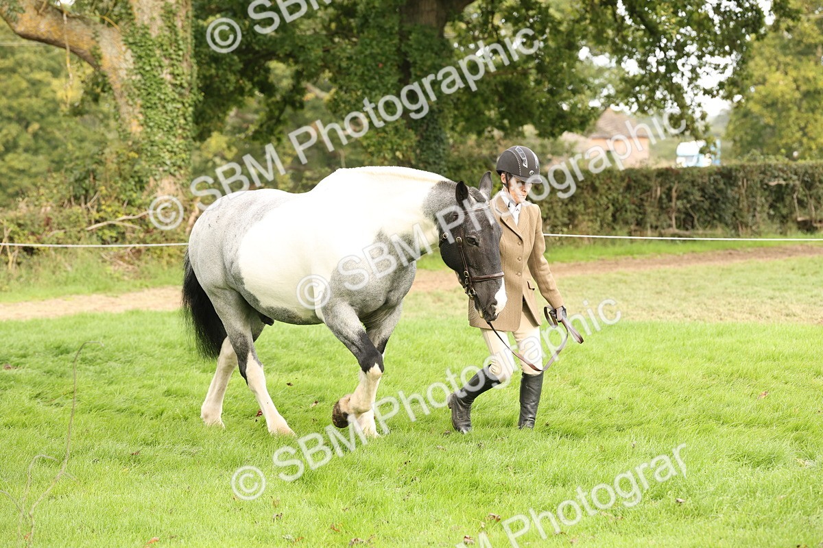 SBM_57482 - S56 - Show Cob in Hand