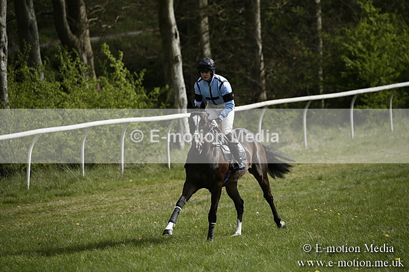 PtP 170417 231 - Old Berks Point-to-Point Lockinge 17/04/17