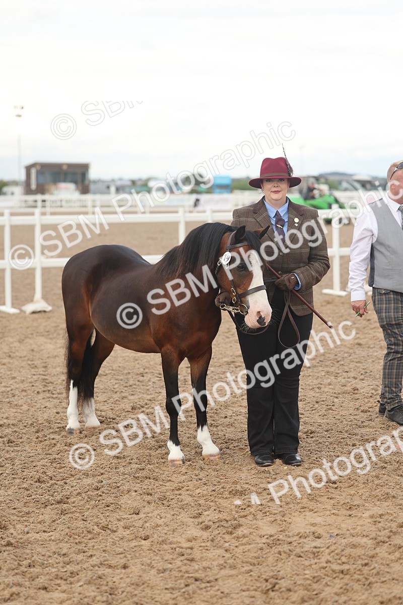 SBM_08521 - Class 29 - IH Veteran Pony