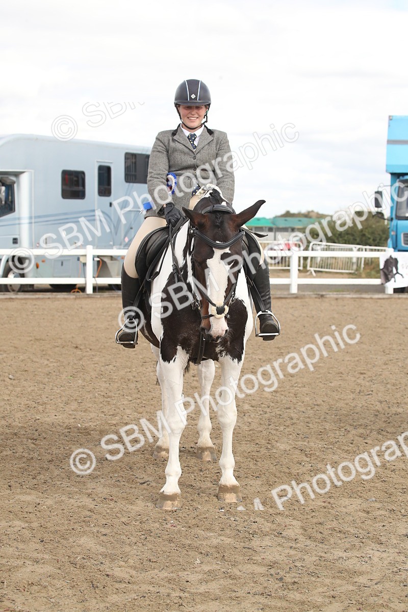 SBM_15247 - Class 506a - Working Veteran - 50cm (15-19)