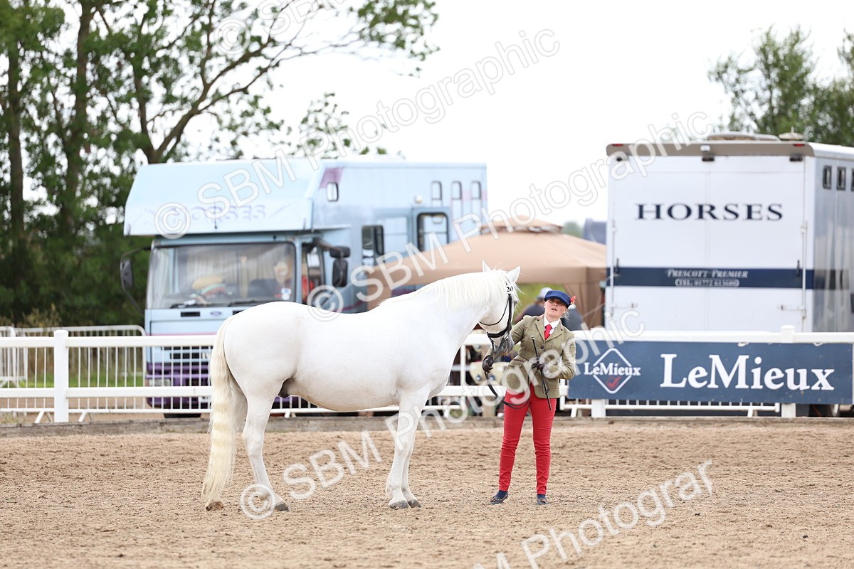 SBM_05048 - Class 27 - IH Competition Horse or Pony