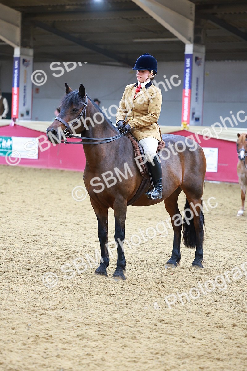 SBM_09833 - Class 102 - HOYS Veteran Qualifier - Ridden Veteran