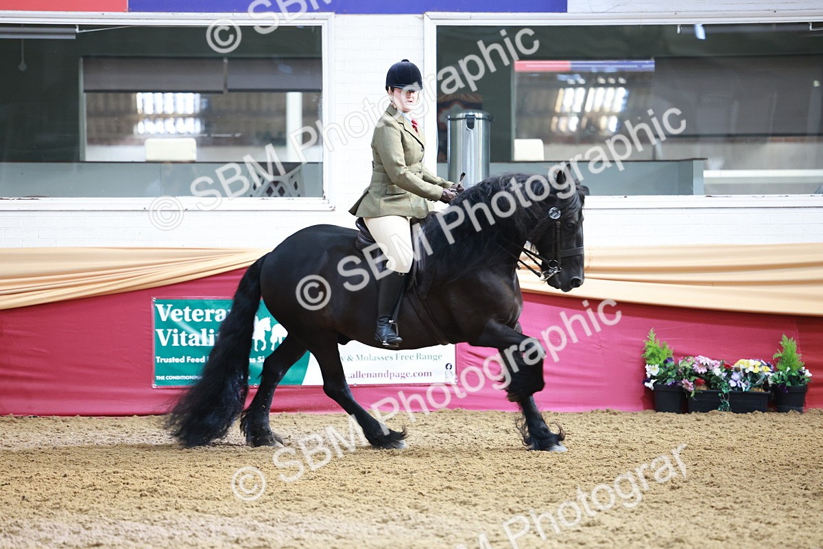 SBM_11878 - Class 102 - Equitation (Best Rider) Adult