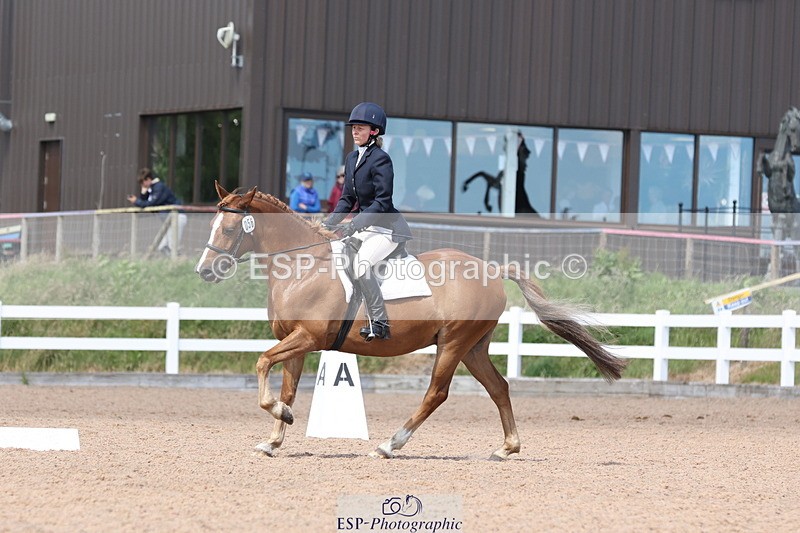 240706A-151006-03664 - Cls 4B Snr Novice 30