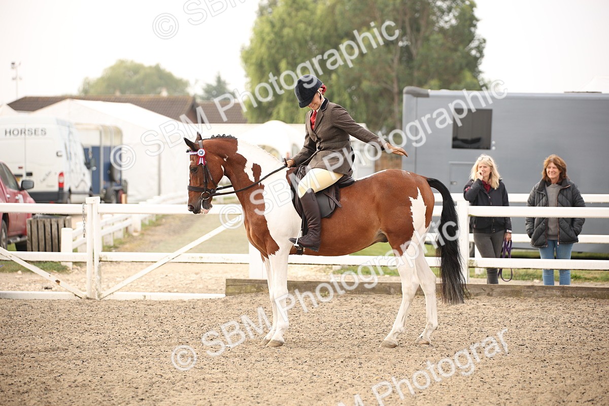 SBM_09739 - Class 401 Riding Club Pony