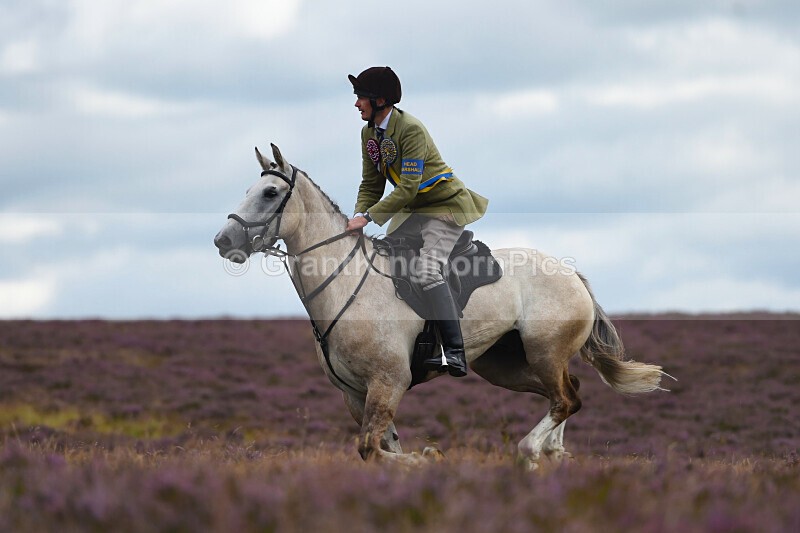 _108 - Lauder Common Riding 2025