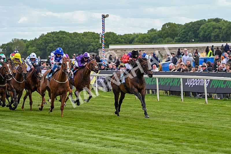 150526-Race 3-Warrant Holder-7533 - Race 3 2.55pm Support Macmillan Charity Raceday On 13 June Handicap