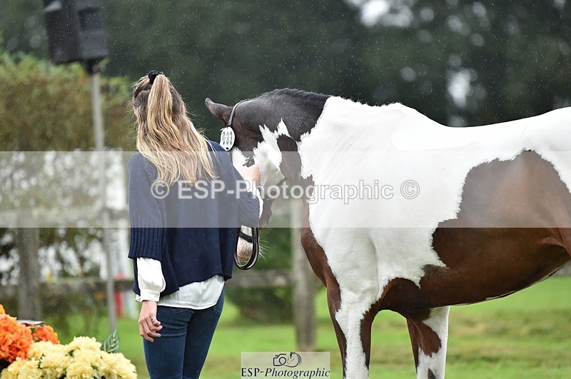 231018-122418-00269 - 033-COUNTRY.TIGER.LILLY-Milla.Read-TrotUp