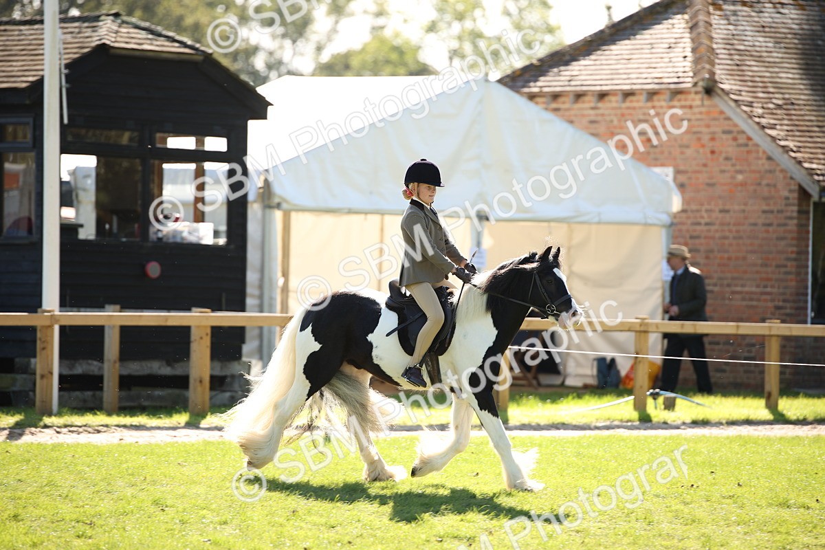 SBM_38991 - S11 - Best Ridden Horse & Pony