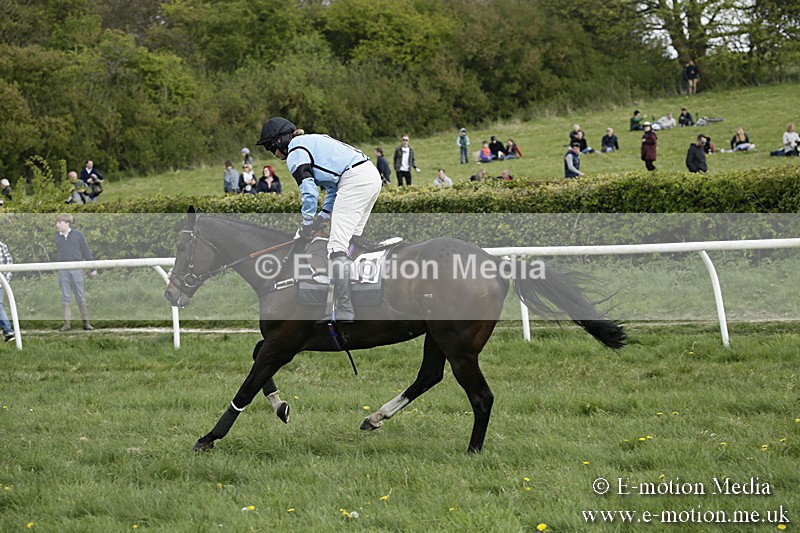 PtP 170417 390 - Old Berks Point-to-Point Lockinge 17/04/17