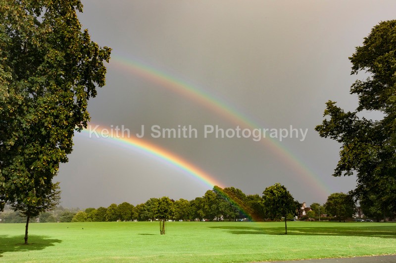 7SKJ2185 - Trees in Abington Park