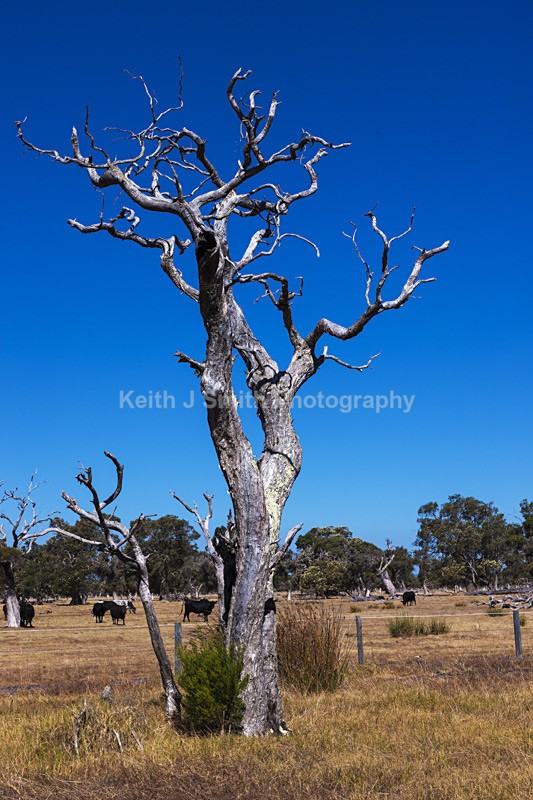 0SKJ5025 - Worldwide