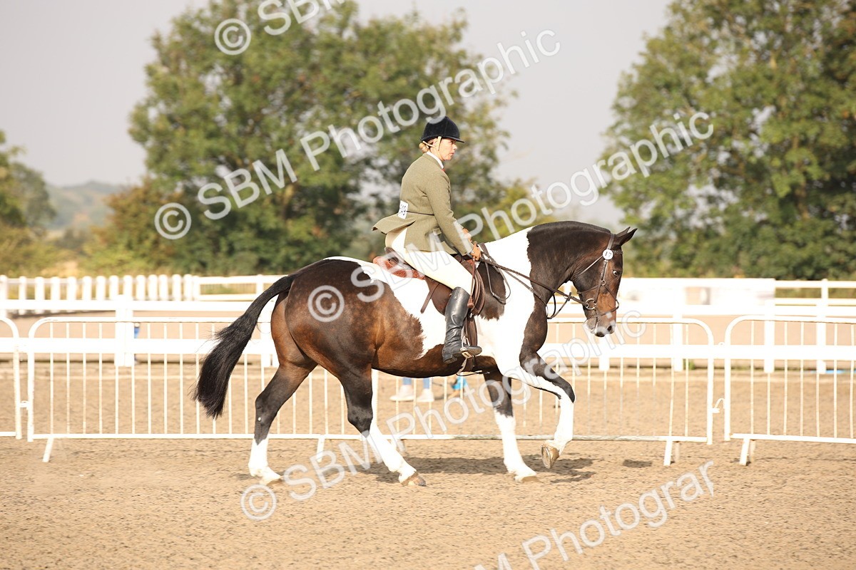 SBM_10237 - Class 402 Riding Club Horse