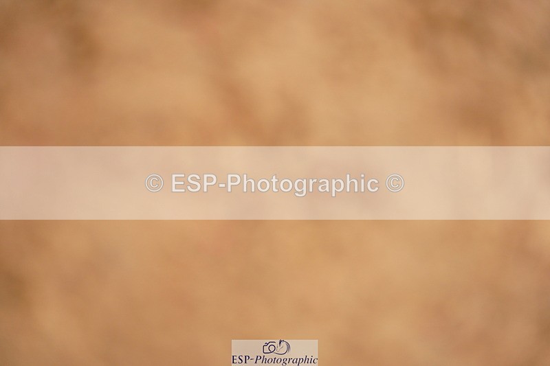 240526A-142100-08509 - Cls 28 Newcomers