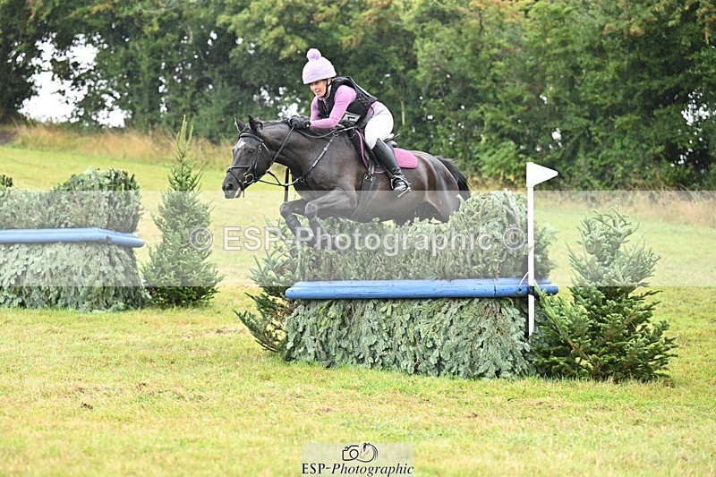 TS_b0580864 - SAT BE 90 Recovered Files fence 8