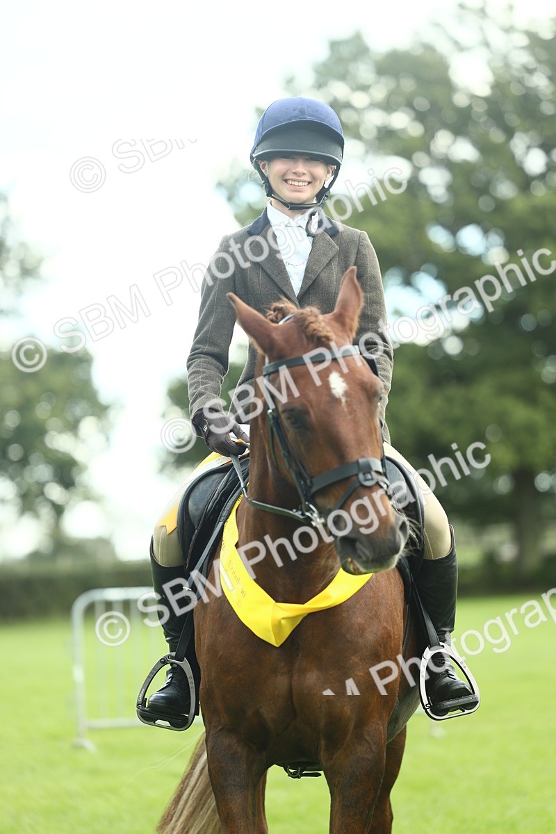 SBM_42192 - S29 - Novice & Newcomers Working Hunter Pony