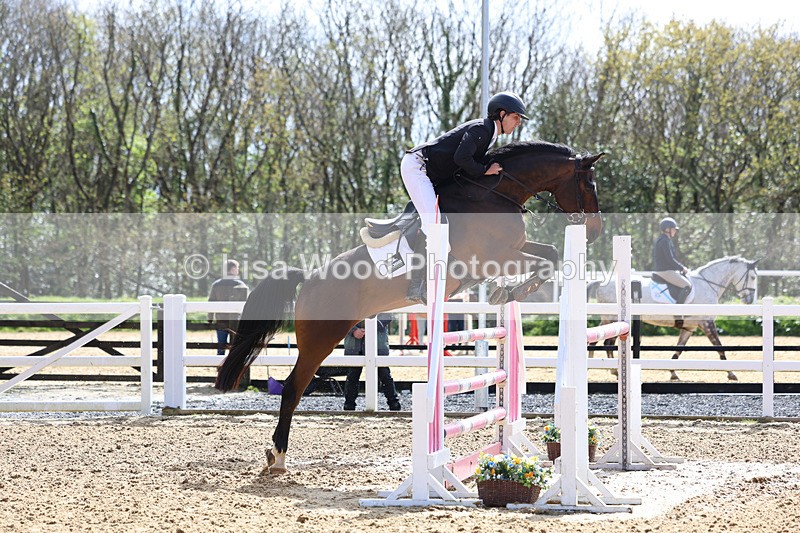 3E7A2180 - Class 8: Senior Foxhunter/1.20 open