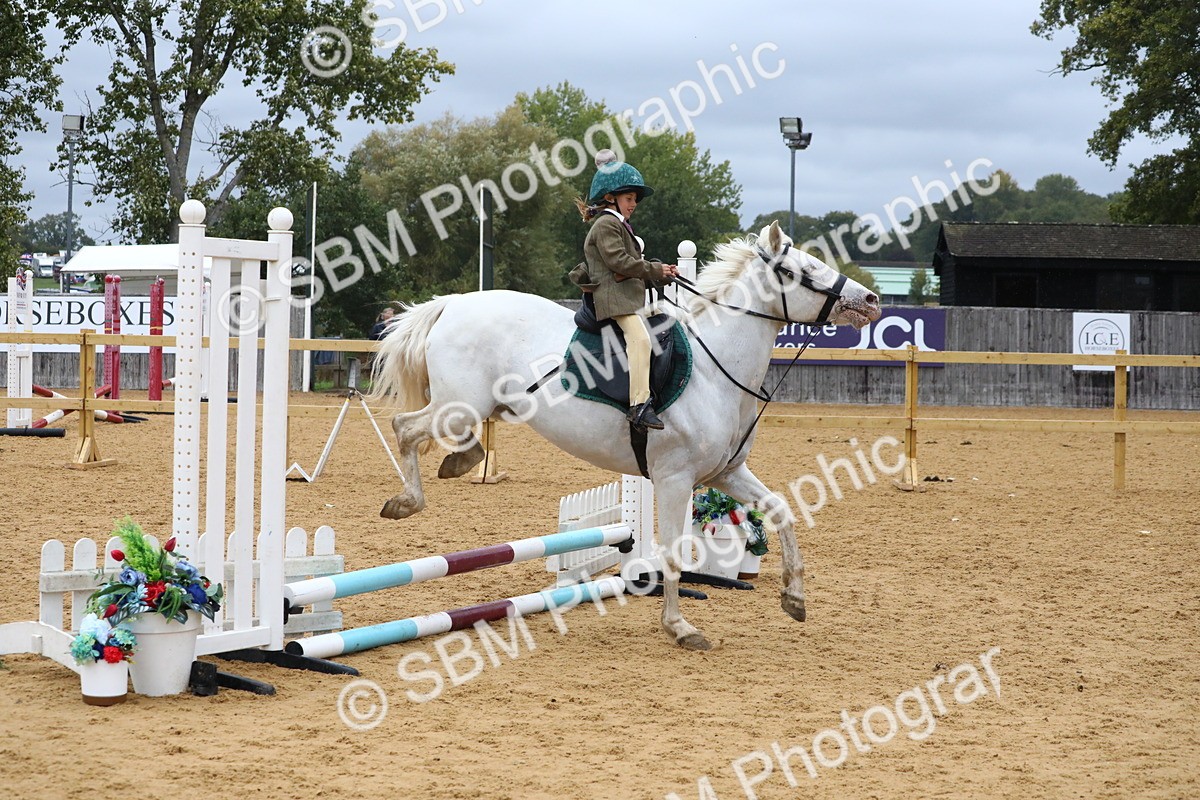 SBM_71979 - J3b - Mini Tour Junior Pony 40cm Championship