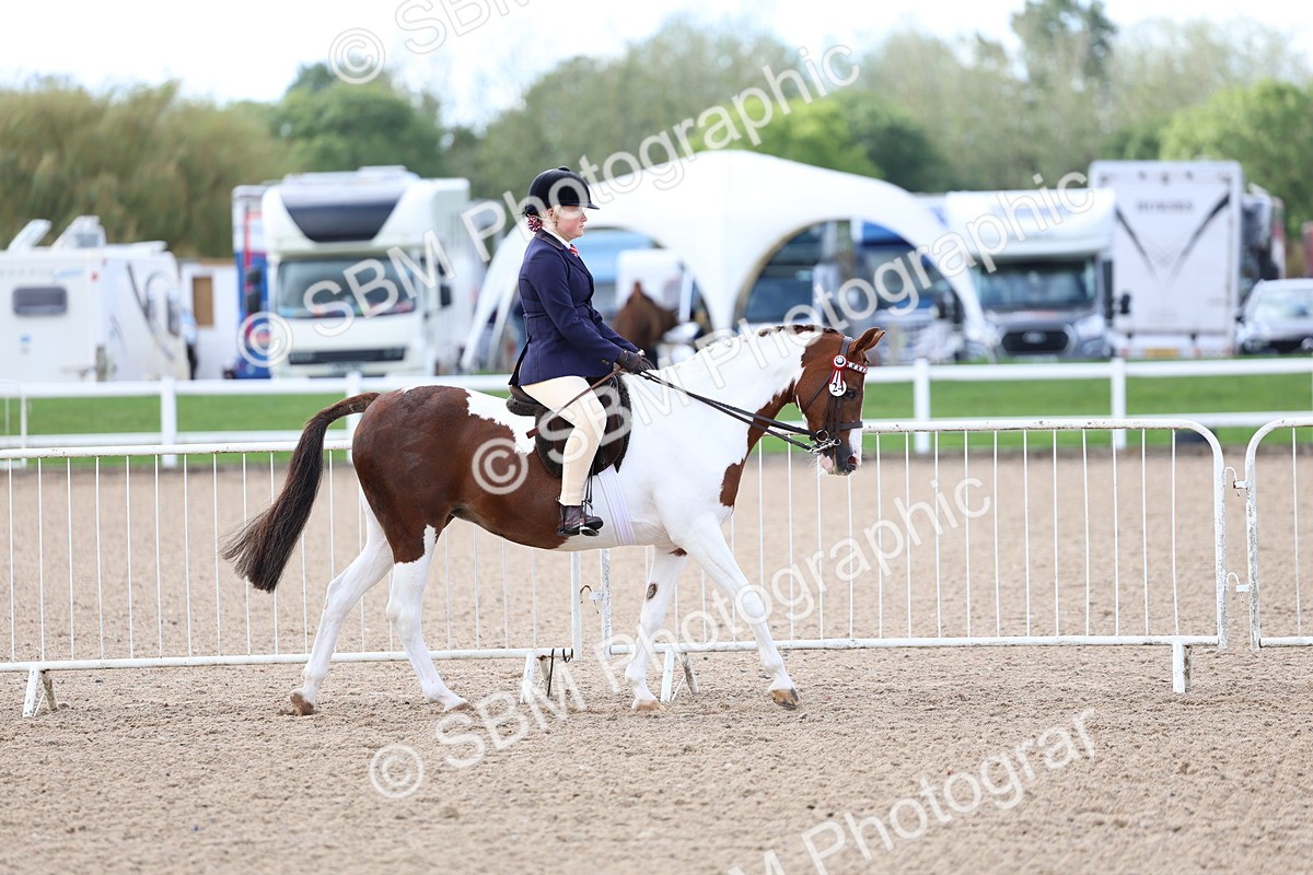SBM_10034 - Class 304 - Ridden Part Bred Horse Pony