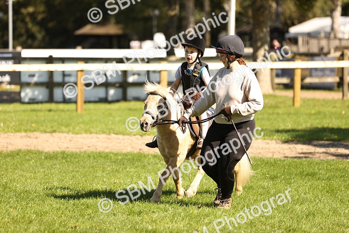 SBM_19317 - S3 - TSR Ridden Pony Showing
